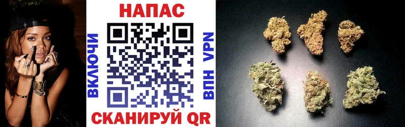Бошки Шишки планчик Ильский